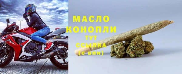 гашик Новозыбков