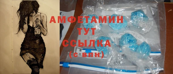 гашик Новозыбков