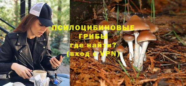 гашик Новозыбков