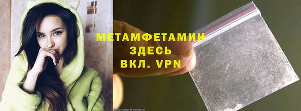 гашик Новозыбков