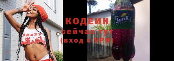 гашик Новозыбков