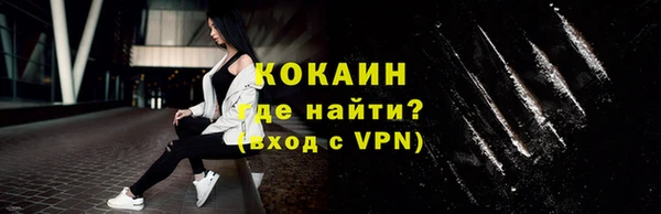 гашик Новозыбков