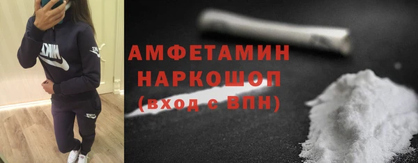 гашик Новозыбков