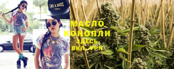 гашик Новозыбков