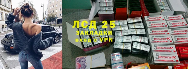 гашик Новозыбков