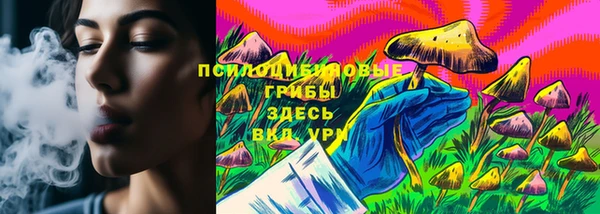 гашик Новозыбков