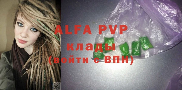 гашик Новозыбков