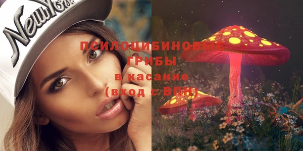 хмурый Новодвинск