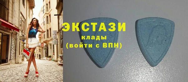 гашик Новозыбков