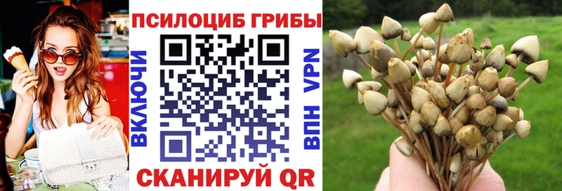 Галлюциногенные грибы Cubensis где купить наркотик Приморско-Ахтарск