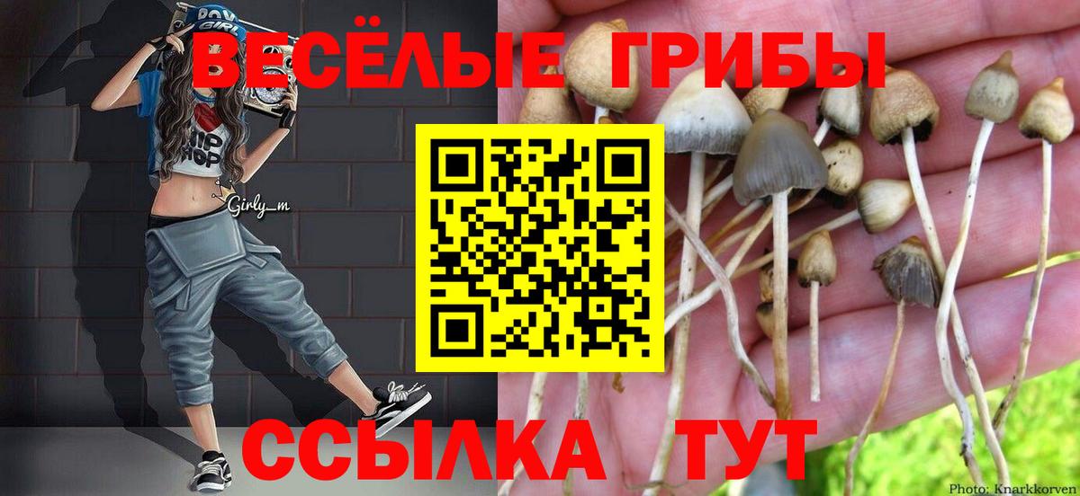 Псилоцибиновые грибы Magic Shrooms Приморско-Ахтарск